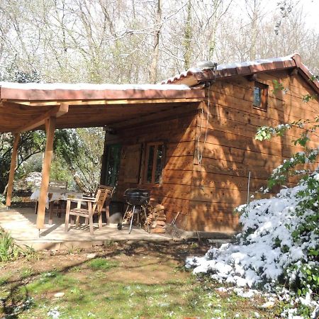Cabane Dans Les Bois Avec Vue Sur Les Pyrenees Saint-Laurent-de-Neste Экстерьер фото