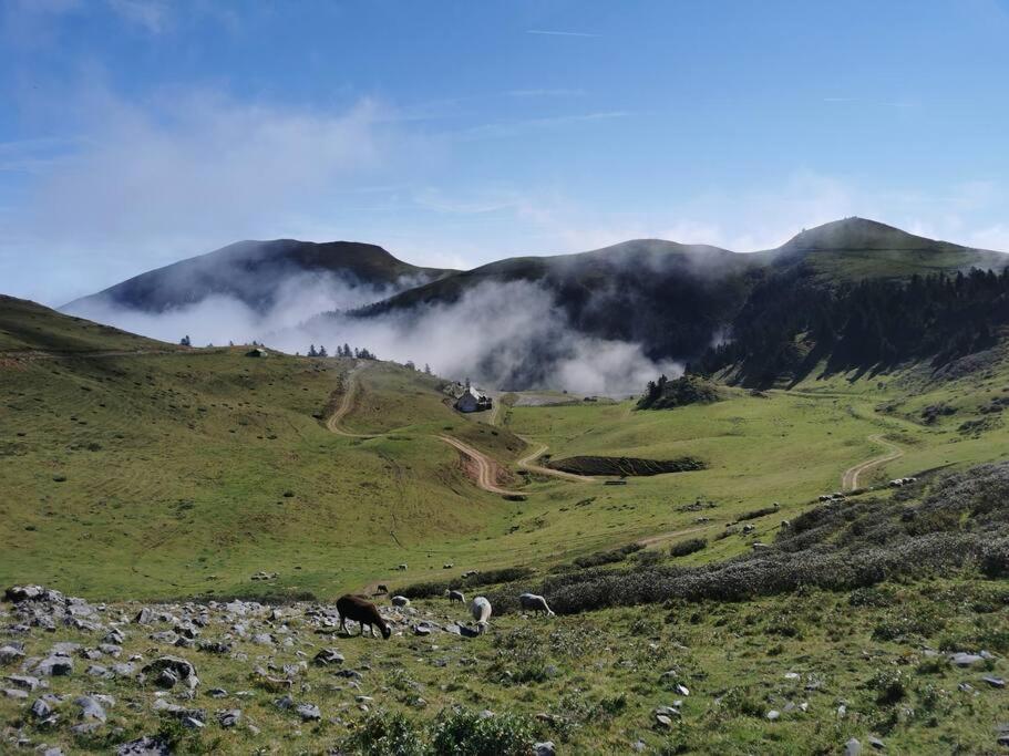 Cabane Dans Les Bois Avec Vue Sur Les Pyrenees Saint-Laurent-de-Neste Экстерьер фото