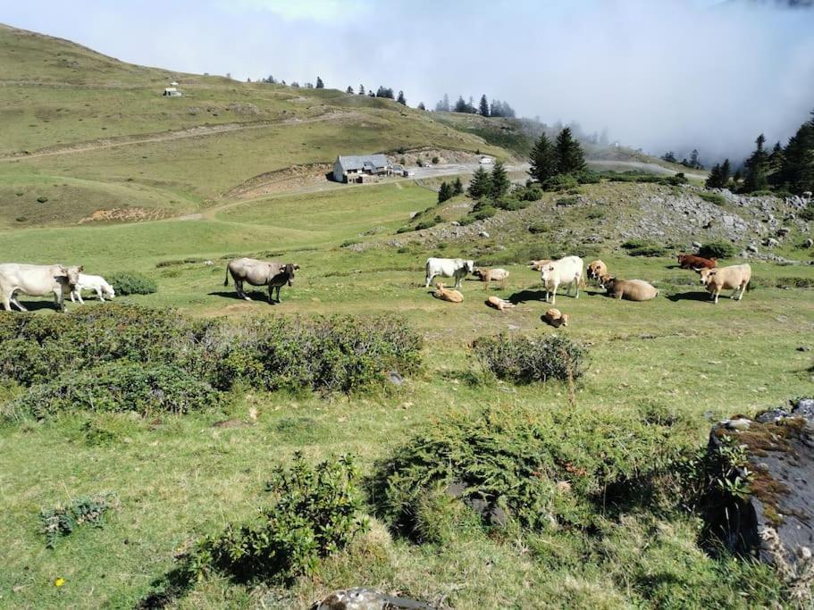 Cabane Dans Les Bois Avec Vue Sur Les Pyrenees Saint-Laurent-de-Neste Экстерьер фото